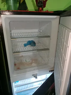 ভীষণ ফ্রিজ