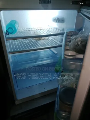ভীষণ ফ্রিজ