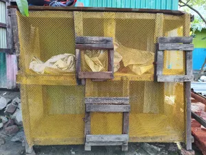 Pets And Animals