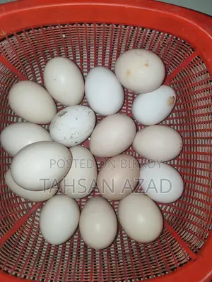 মুরগীর ডিম