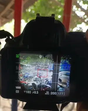 Nikon D5100 with 2x 50mm Prime Lenses