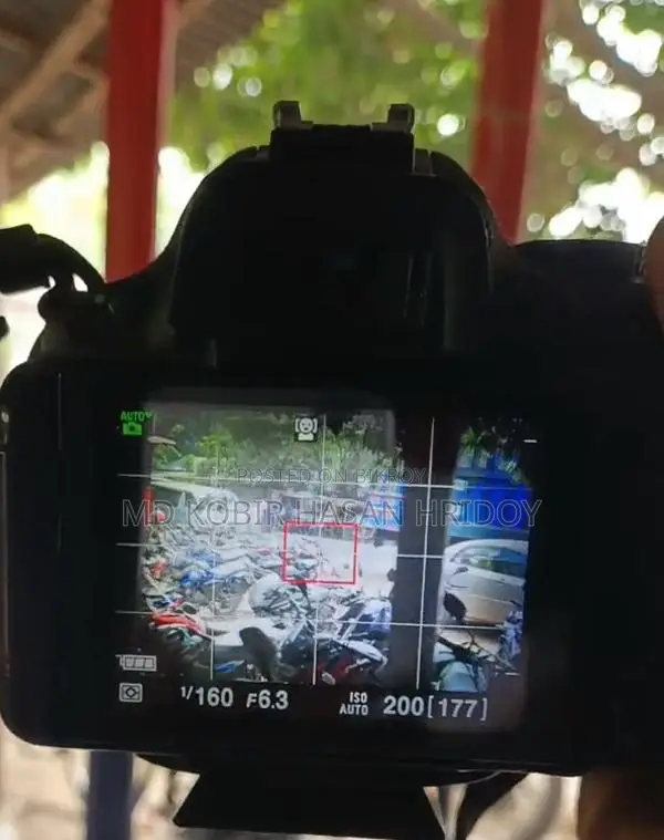 Nikon D5100 with 2x 50mm Prime Lenses