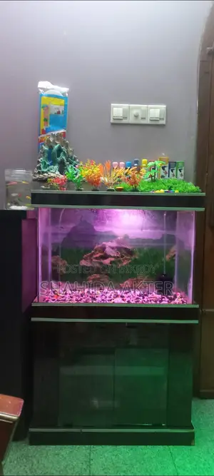 Aquarium Sell