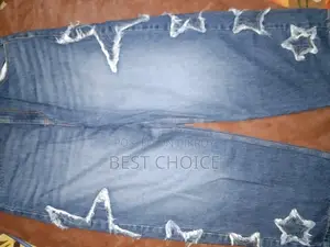 Ladies Denim Pant
