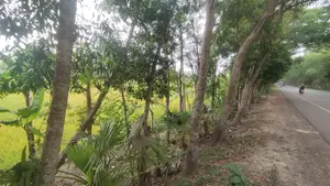 ২১ শতক জমি বিক্রয় | বরিশাল (হাইওয়ে সংলগ্ন)