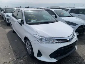 Toyota Axio EX 2021
