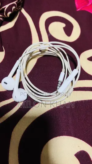 Apple Headphones