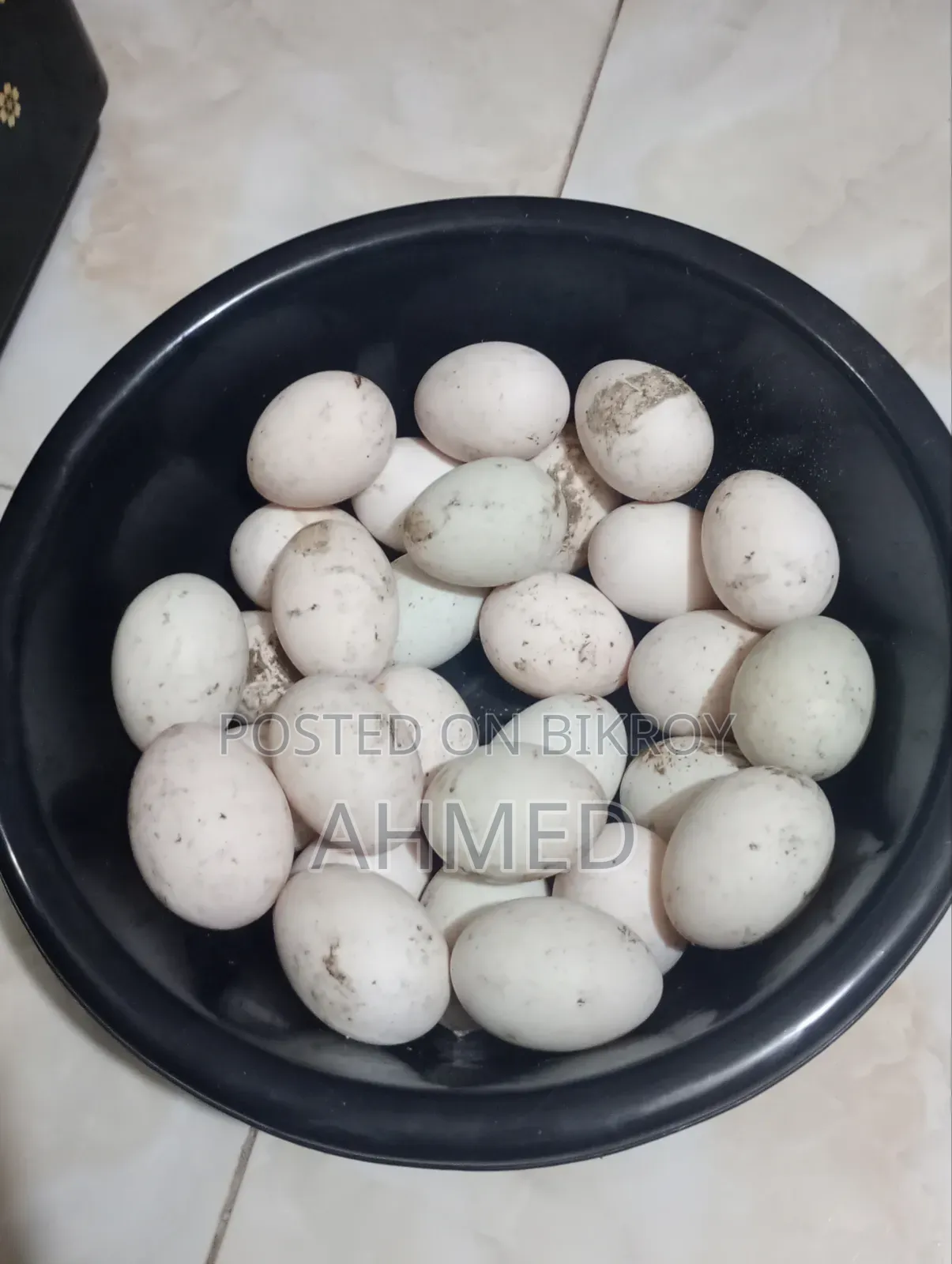 খাকি কেম্বেল হাস এর বিজ ডিম