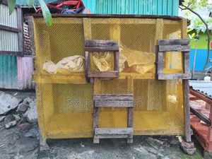Pets And Animals
