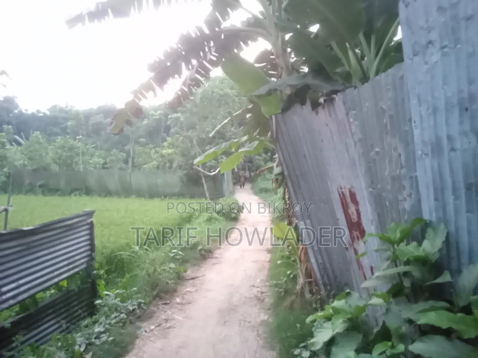 Land for Sale