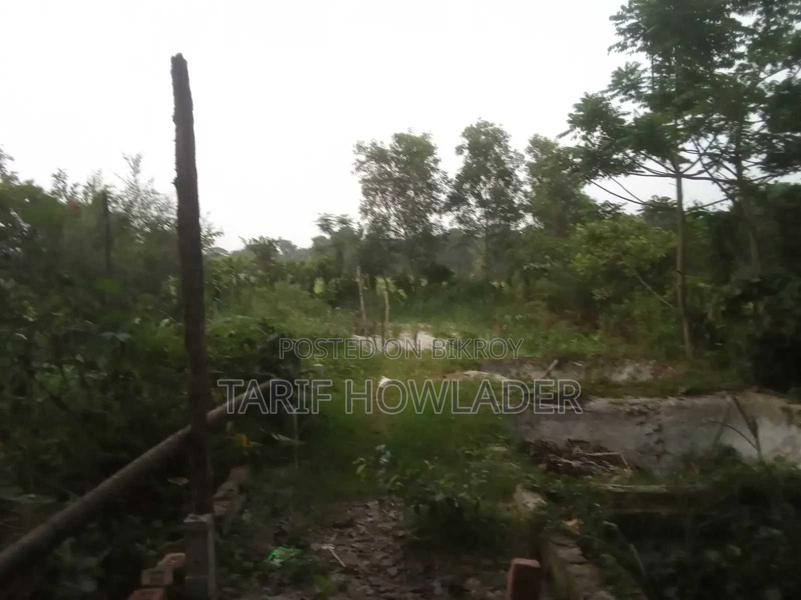 Land for Sale