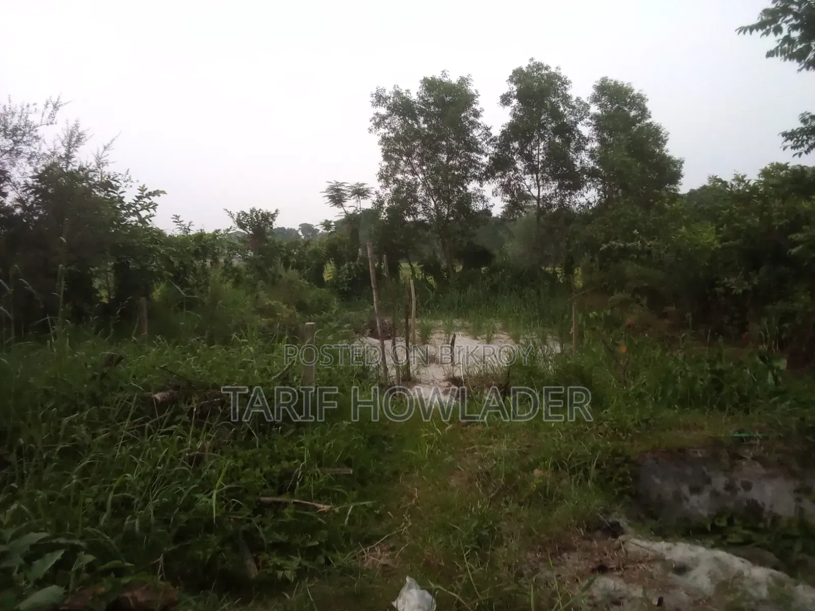 Land for Sale