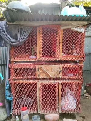 মুরগি কোয়েল পাখি পালনের খাঁচা
