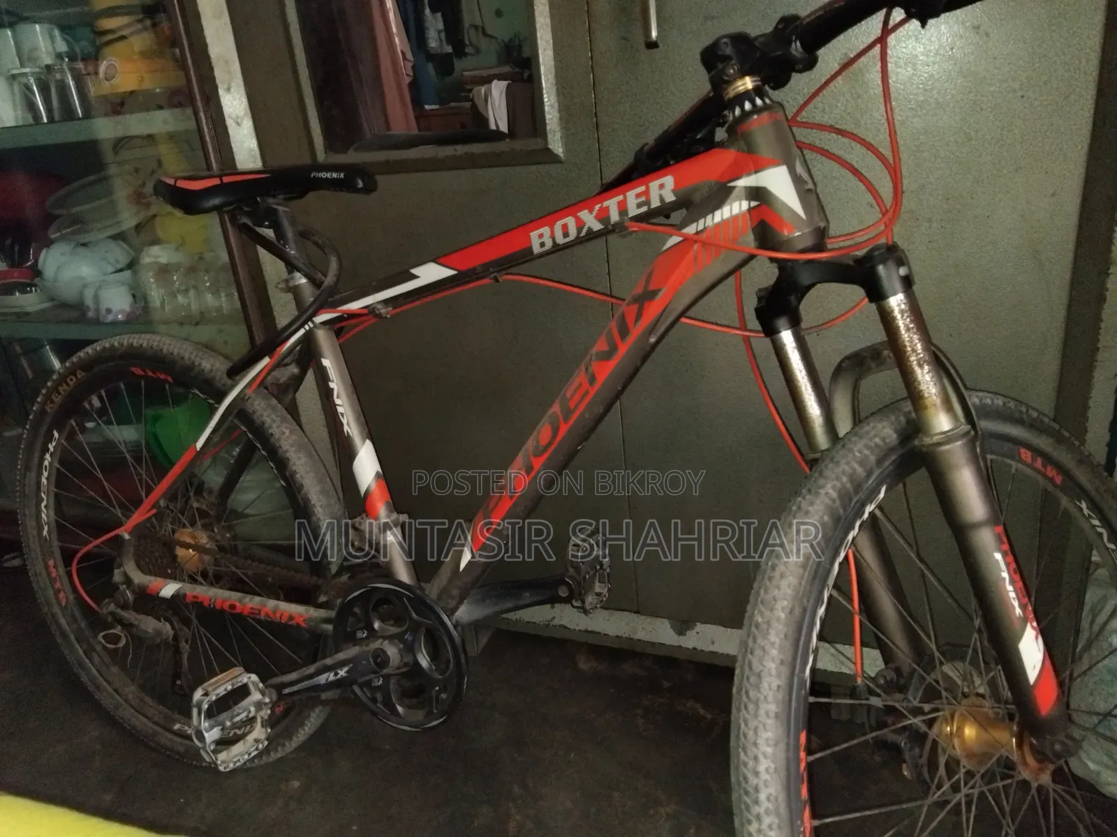 Phoenix Boxter Cycle| ফনিক্স সাইকেল