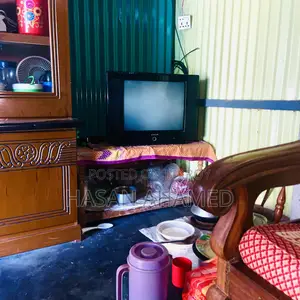 Singer Tv 21" + New Set Up Box 40day Used