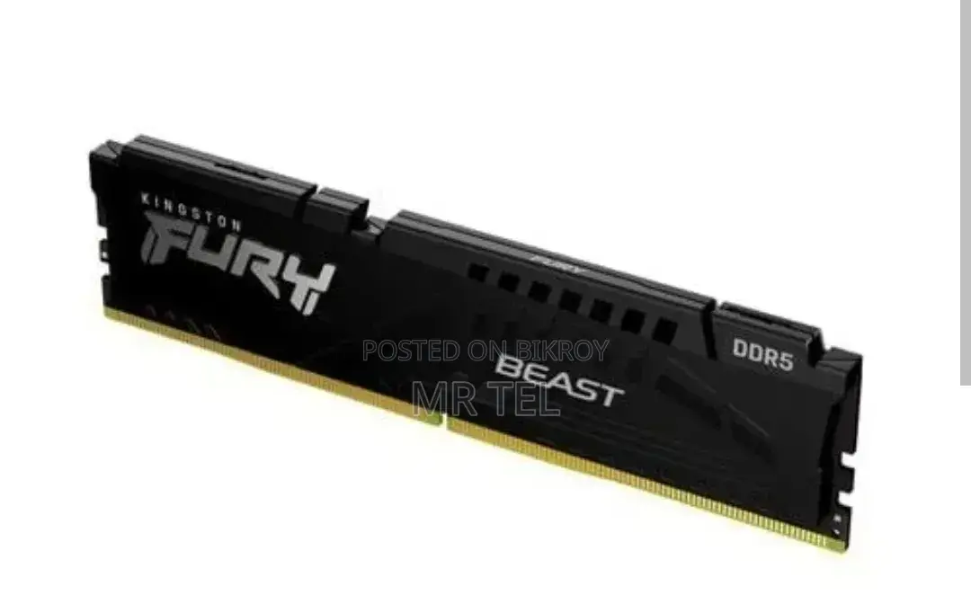 Kingston Fury Beast DDR5 RAM