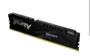 Kingston Fury Beast DDR5 RAM