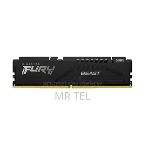Kingston Fury Beast DDR5 RAM
