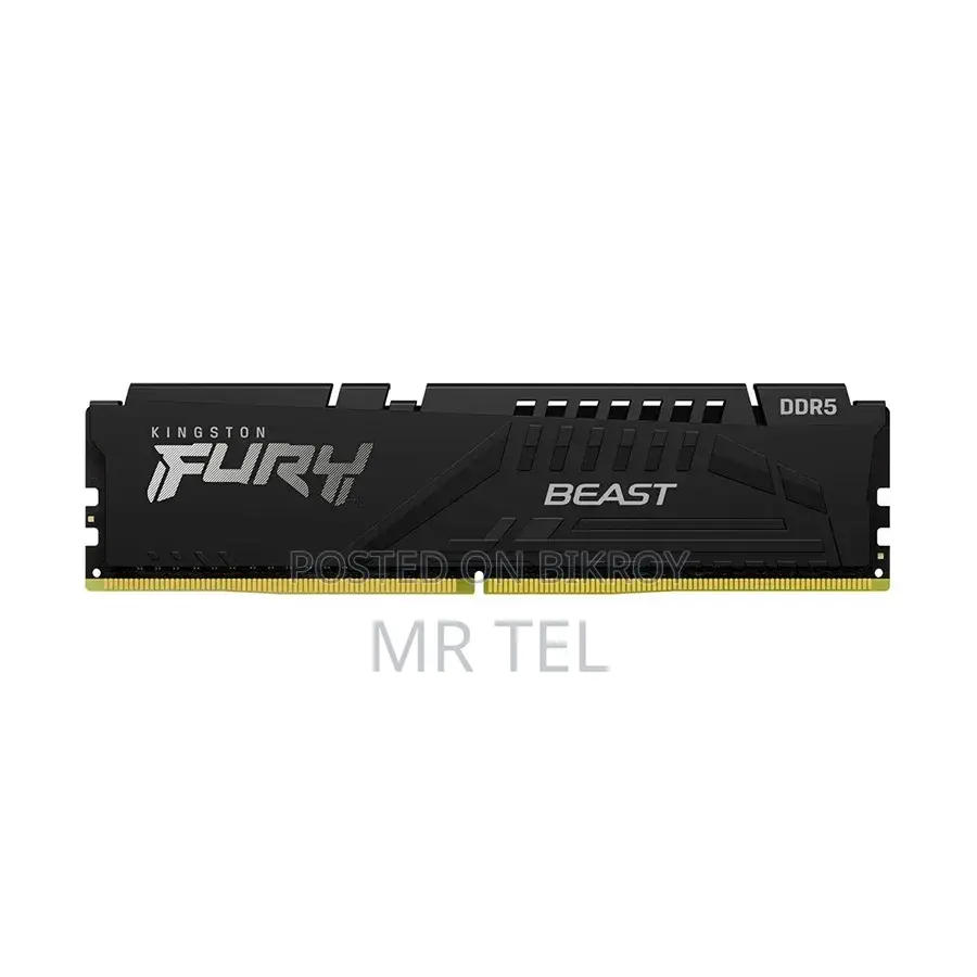 Kingston Fury Beast DDR5 RAM