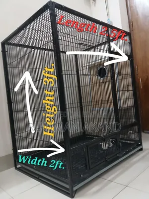 নাট সিস্টেম বার্ড কেজ উইথ বক্স