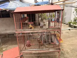 মুরগির এবং পাখির খাঁচা