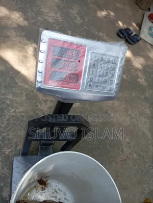 পাঁতি হাস (দেশি)
