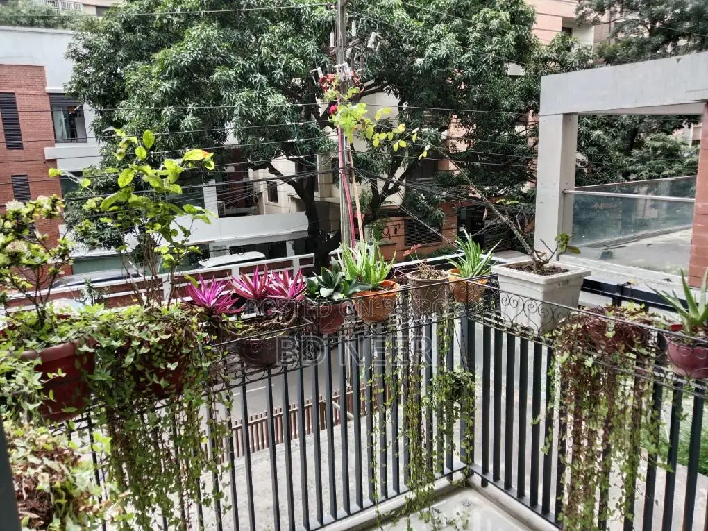 Gorgeous looking fully furnish 4 Bed room apt rent in banani