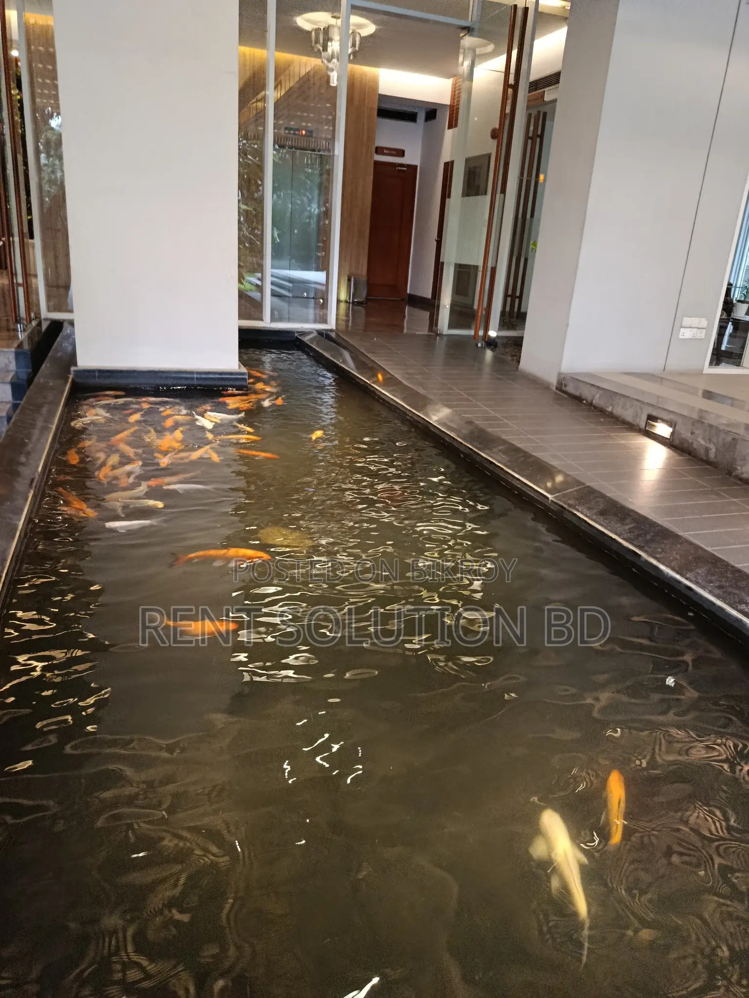 Very Exclusive & Cozy Apartment For Rent Gulshan -2