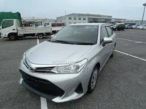 Toyota Axio EX 2020