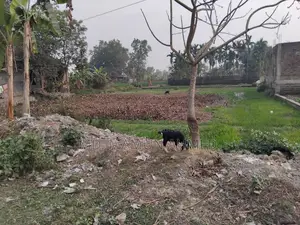 Clear Title Land for Sale