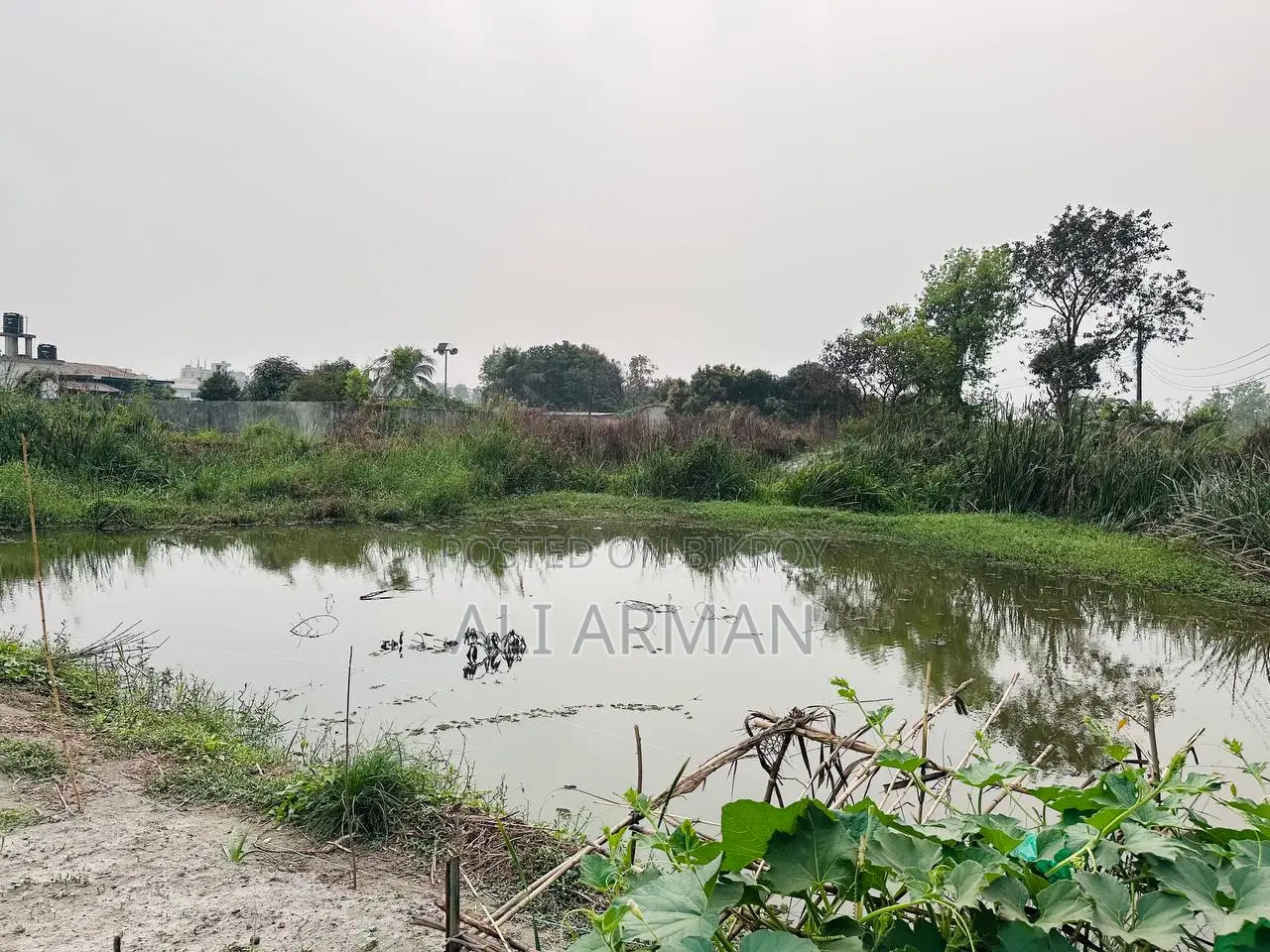 Land for Sale in Paiti, Demra