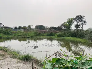 ডেমরা পাইটি জমি বিক্রয়