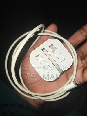 Original Apple Adapter