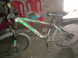 Phoenix Bicycle for Sale