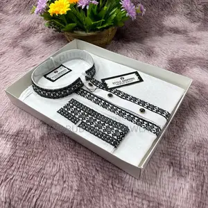 Embroidery Panjabi -