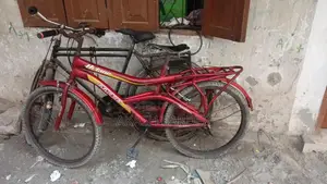Bicycle For Sale