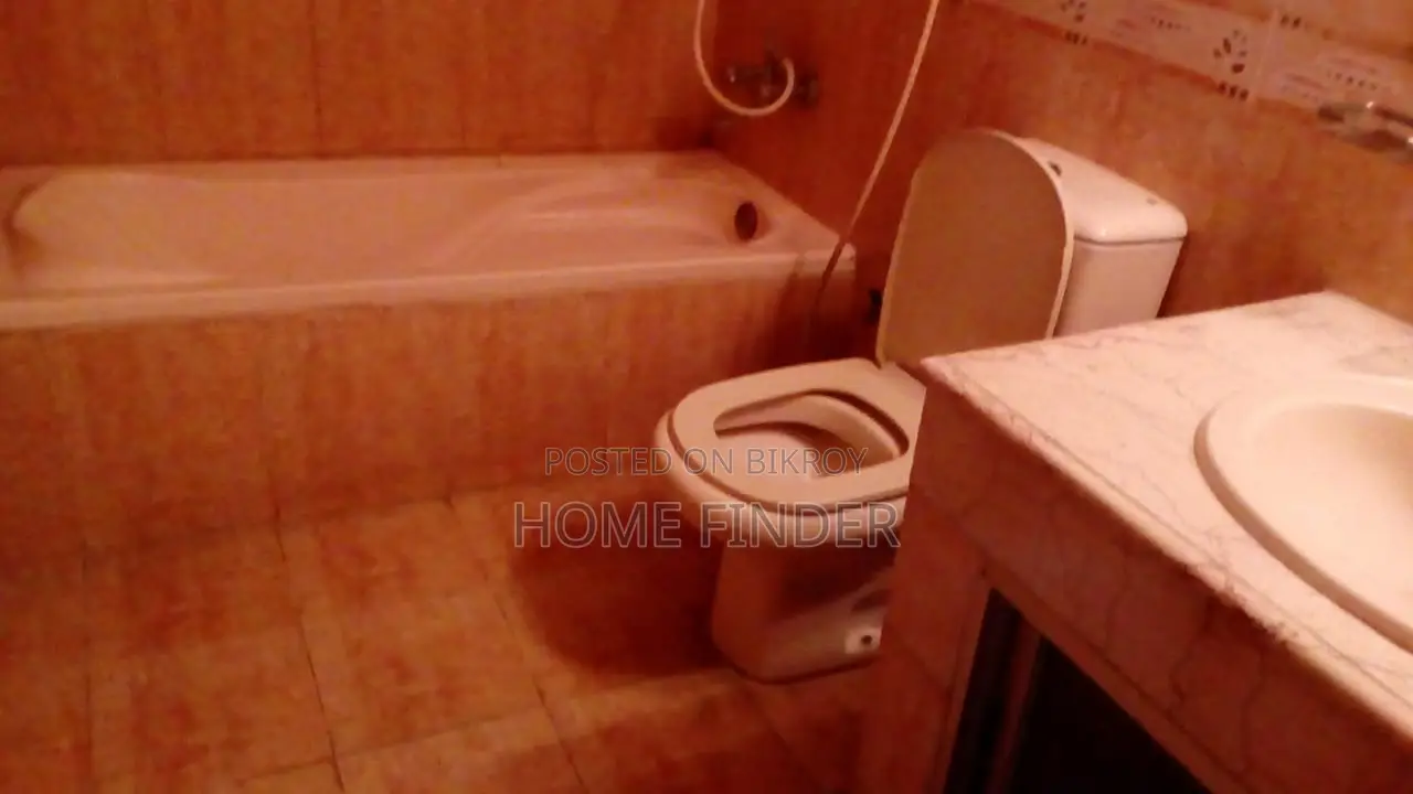 Furnished Exclusive Apartment For Rent in Gulshan