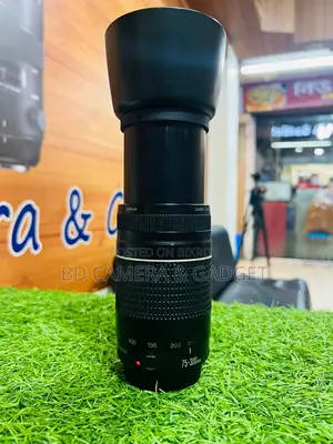 Canon 75-300 zoom lens
