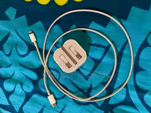 Apple Charger & Back Cober (12 Pro Max )