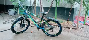 Phoenix Bicycle for Sale