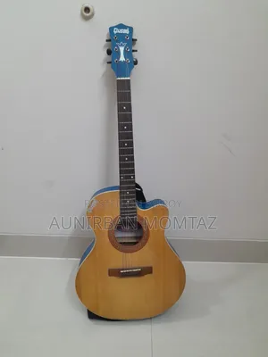 Givson Venus Acoustic Guitar