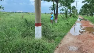 3.25 Katha South-Facing Plot for Sale in Silicon City