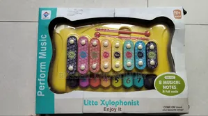 Used Musical Xylophone