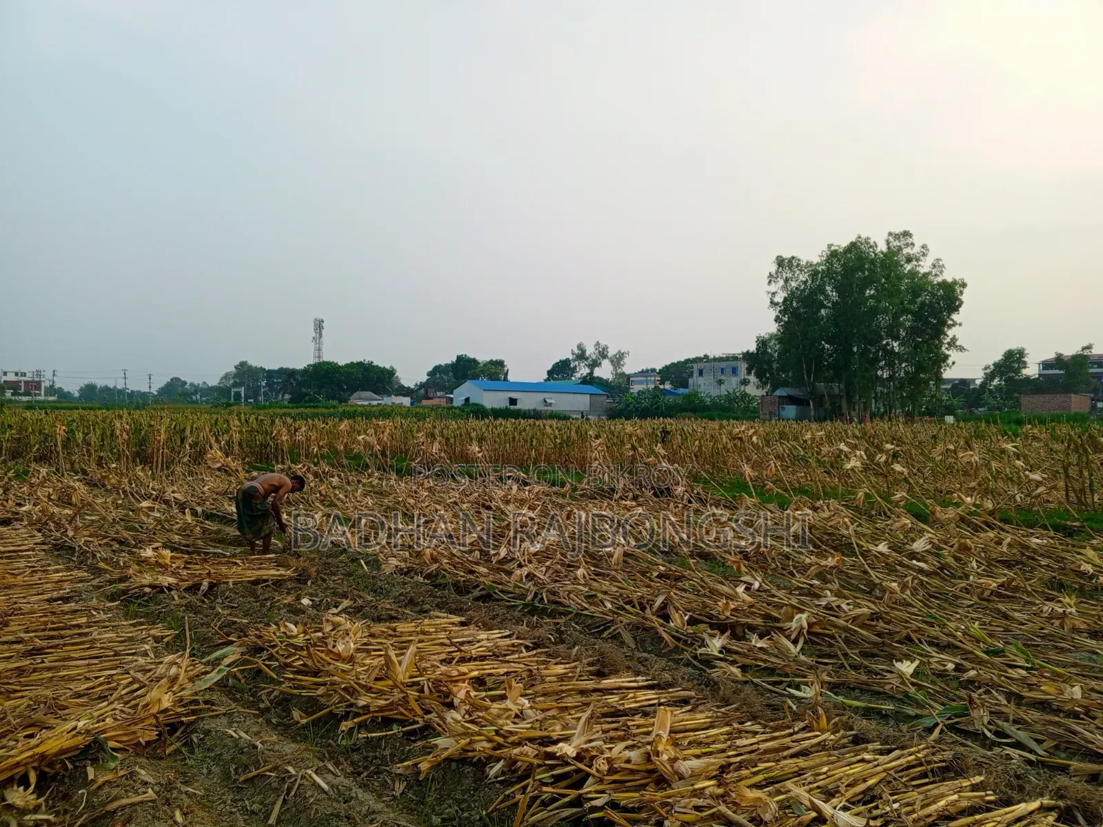 সুবর্ণ সুযোগ! মানিকগঞ্জ শহরের একদম কাছাকাছি পানির দরে জমি বিক্রি!