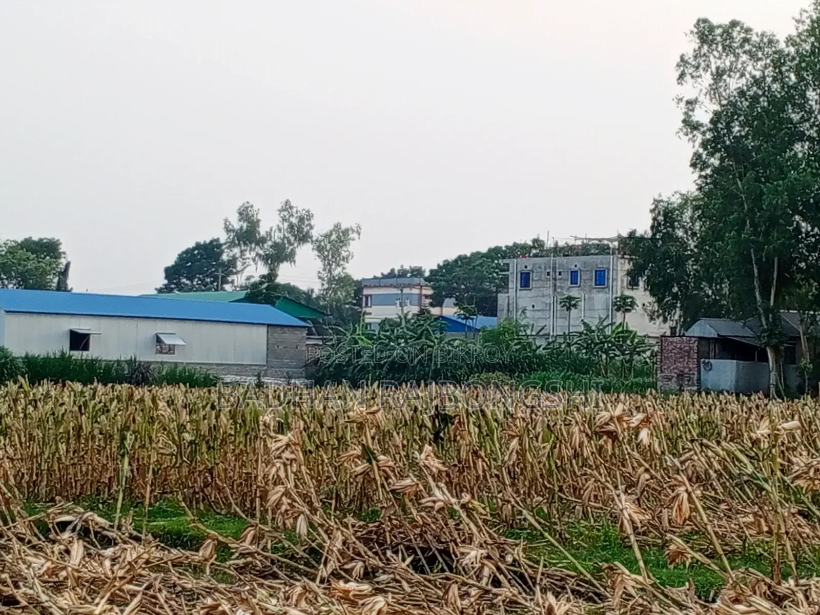 সুবর্ণ সুযোগ! মানিকগঞ্জ শহরের একদম কাছাকাছি পানির দরে জমি বিক্রি!