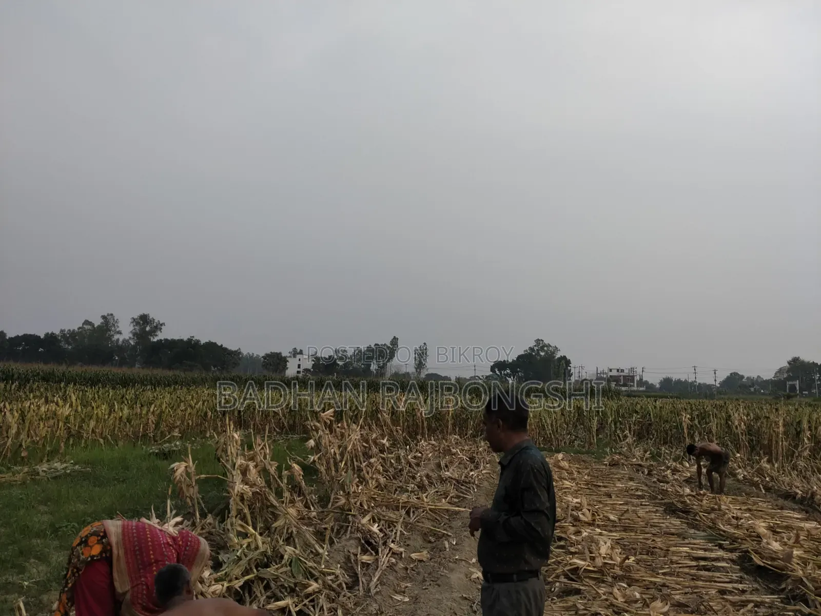 সুবর্ণ সুযোগ! মানিকগঞ্জ শহরের একদম কাছাকাছি পানির দরে জমি বিক্রি!