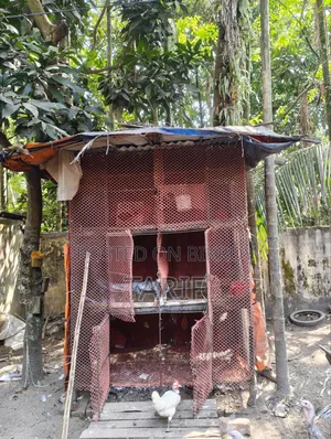 মুরগির খাঁচা