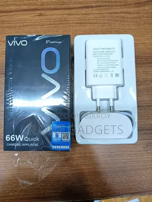 Vivo 66 Watt Flash Charger Original