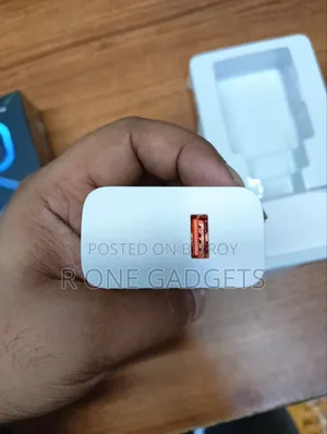 Vivo 66 Watt Flash Charger Original