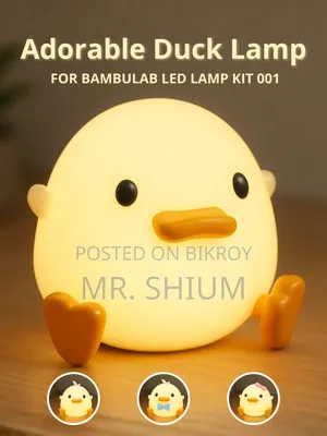 Adorable Duck Lamp